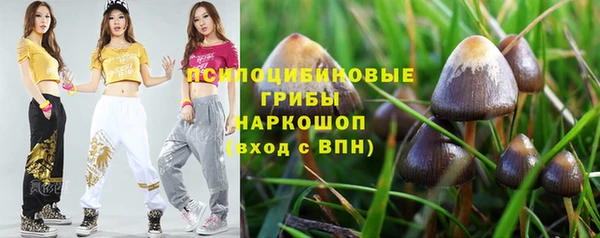 твердый Алексеевка