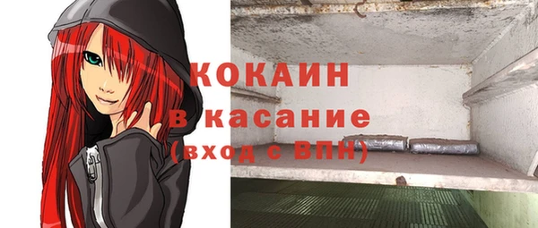 твердый Алексеевка